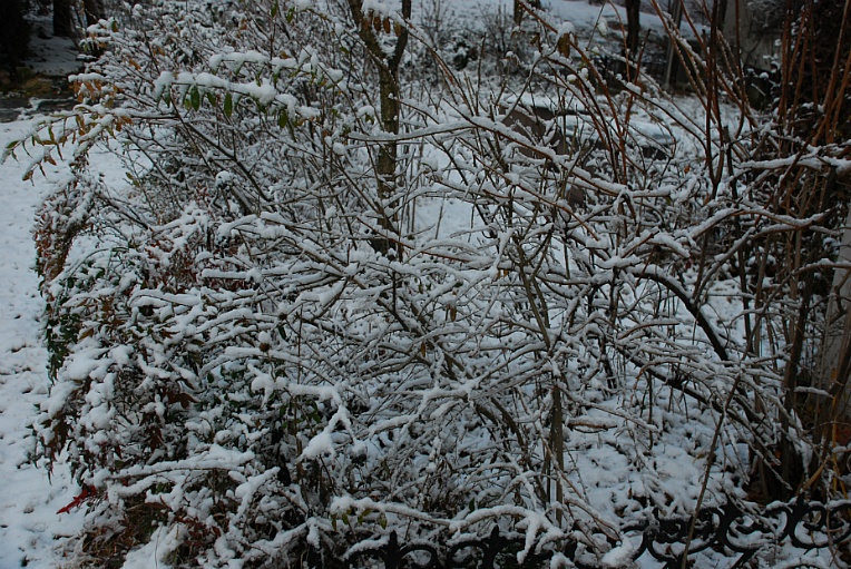 cfile202_2159174B547FBC612056E3.jpg