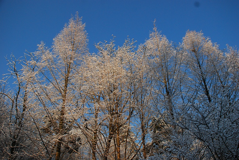 cfile204_23446047547FBB9F2527F0.jpg