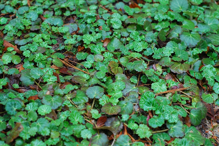 cfile205_277A5D4C533238E22DB9B0.jpg cfile205_277A5D4C533238E22DB9B0.jpg