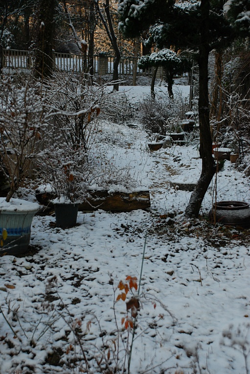 cfile207_2759124B547FBC5D20D916.jpg