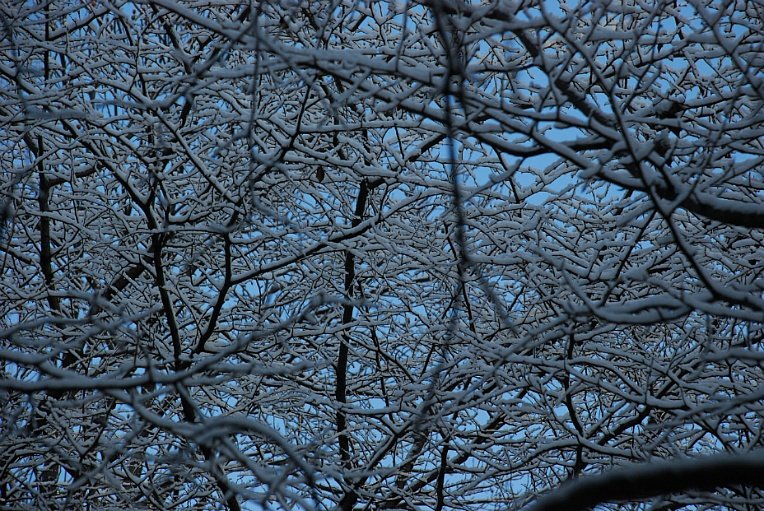 cfile214_242CB24F547FBB4D1068F6.jpg