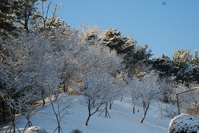 cfile218_234A9148547FBBEC2629B2.jpg