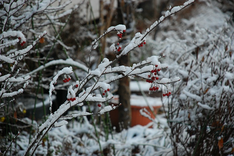 cfile220_22566850547FBC8D1267E5.jpg
