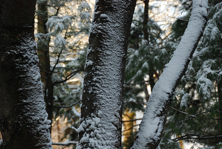 cfile222_2351ED50547FBC8E184B04.jpg