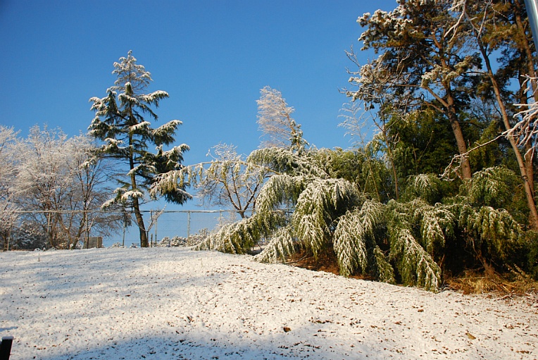 cfile225_2554C248547FBBEB1B8274.jpg