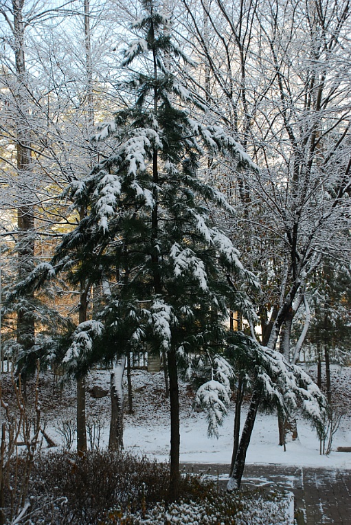 cfile227_275F2050547FBC9108B7C2.jpg