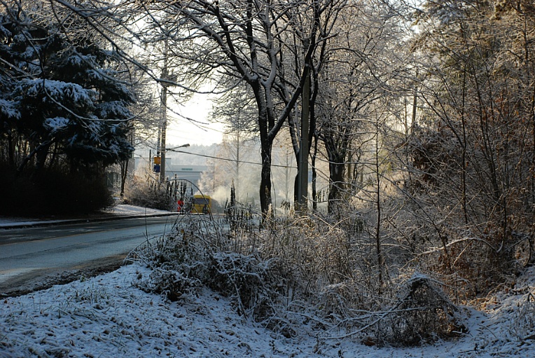 cfile228_24636B4B547FBC221387EE.jpg