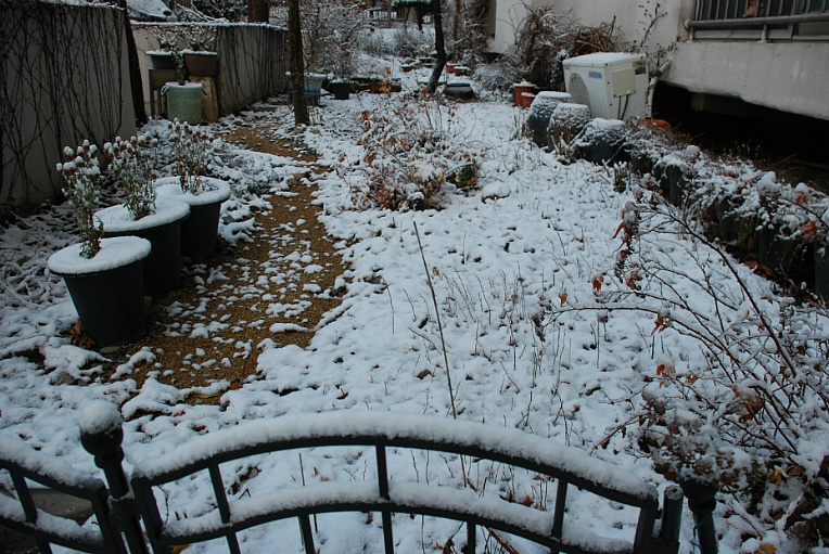 cfile231_2261754B547FBC5C19D49C.jpg