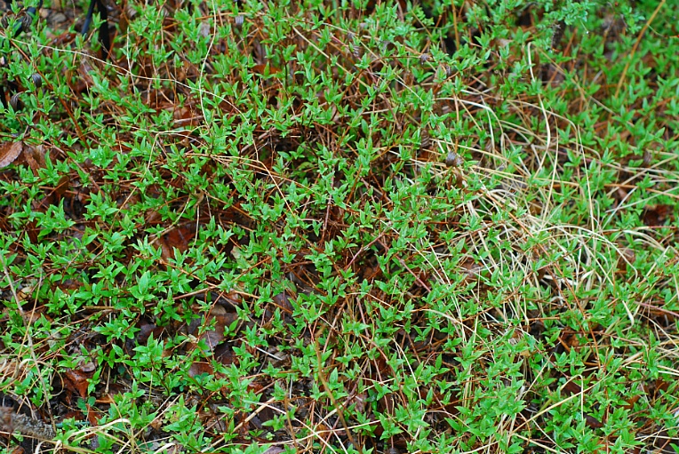 cfile233_2556924D53323A0E227B9C.jpg cfile233_2556924D53323A0E227B9C.jpg