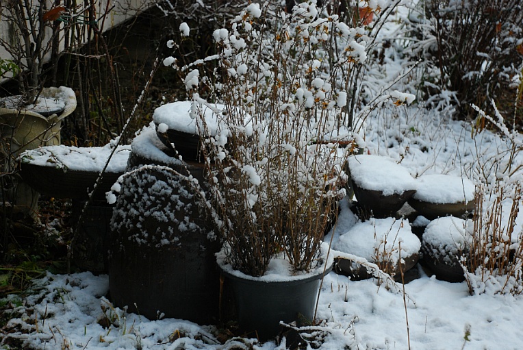 cfile237_256AE54B547FBC280B1C83.jpg